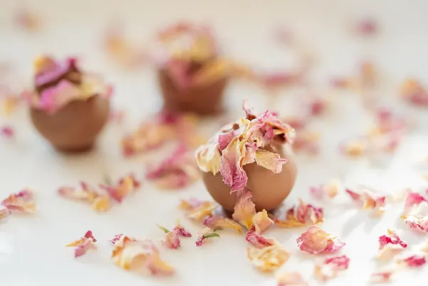 Casino Haiti Win Application Android/iOS